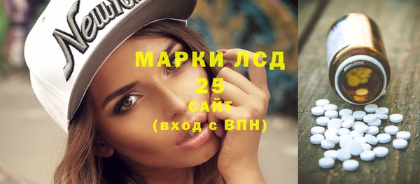 прущие грибы Каменка