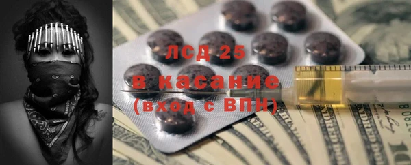 прущие грибы Каменка