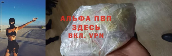МДПВ Инсар