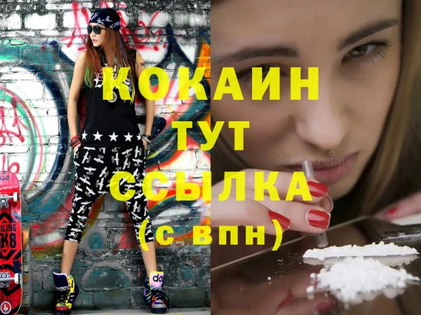 МДПВ Инсар