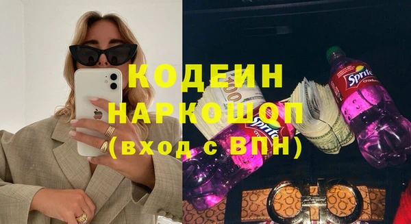 МДПВ Инсар