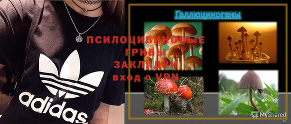МДПВ Инсар