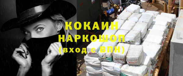 МДПВ Инсар