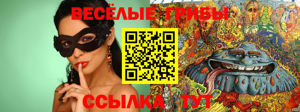 Галлюциногенные грибы прущие грибы  Вход с VPN  Кашира  Галлюциногенные грибы Magic Shrooms 